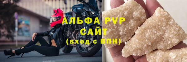 прущие грибы Волосово