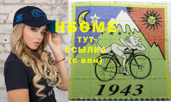дживик Верхний Тагил