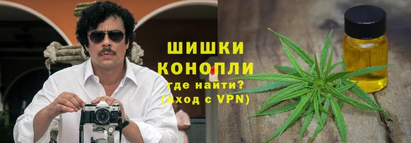 мдпв Волоколамск