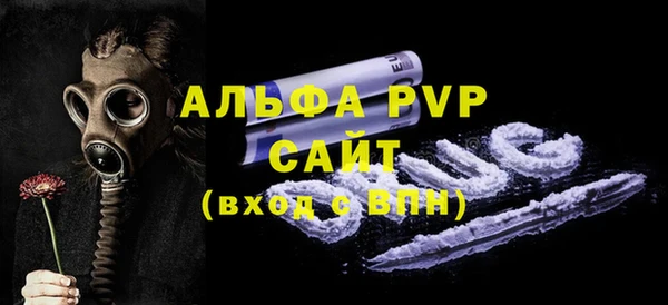 прущие грибы Волосово