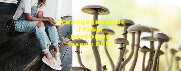 прущие грибы Волосово