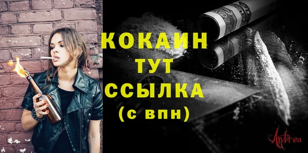 прущие грибы Волосово