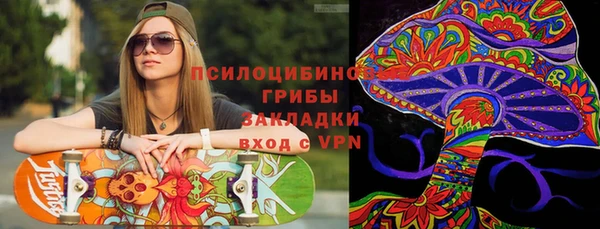 прущие грибы Волосово