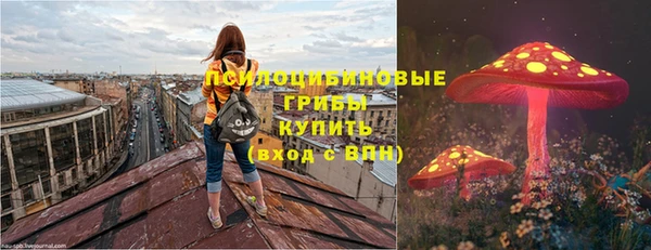 Альфа ПВП Володарск