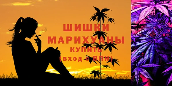 мдпв Волоколамск