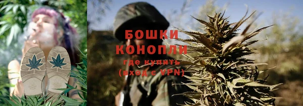 мдпв Волоколамск